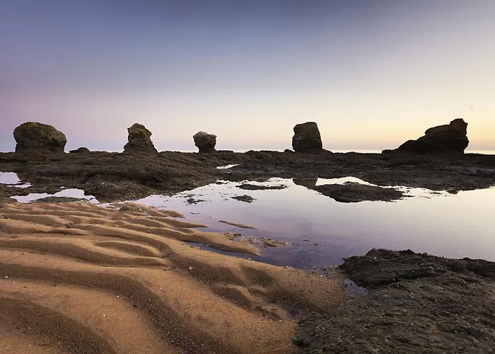 Apartamento Profiter De Ce Bel à Saint Hilaire De Riez!